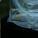 안시농장 이미지