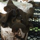 청봉농장 이미지