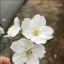 압화만들기 이미지