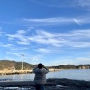 용골횟집 네이버블로그