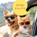 동탄우리약국 이미지