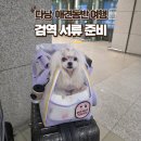 강아지 해외여행 검역 준비절차 인천공항 검역소 동물검역증명서 발급 후기