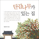 단감나무 집