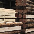 통나무집펜션 이미지