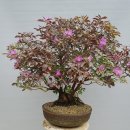 봄과가을이 이미지