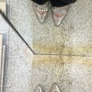 박사플로리스트꽃꽂이 | 라포레소호 글램핑장, 경기도 광주 화담숲, 연희동 케뚜, 미묘 참외빙수, 을밀대, 우래옥 평양냉면 후기