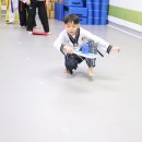 용문태권도장 이미지