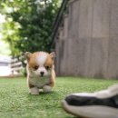 수원-0871 이미지