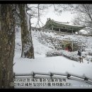 까치인터넷 Daum카페