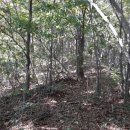 매봉휴게소 이미지