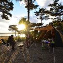 아잘리아그린 이미지