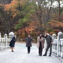 JMP한의원 네이버블로그
