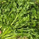 서율농장 이미지