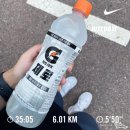 24년 8월 넷째주 주간보고