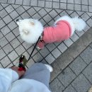 봄날의 햇살같은 사람 되기☘️
