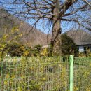 대부산민박 이미지