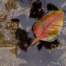 아영민박 이미지