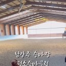 덕소 승마클럽 이미지