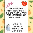 싱싱한야채;과일