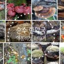 평안한약국 네이버블로그
