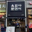 초지역 3번출구 뒤 | 안산 초지역맛집 육회야문연어 안산초지역점｜육회·문어숙회 모둠 &amp; 연어초밥 후기