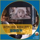 동영상 제작 | [공지] 돌잔치 성장 동영상 내돈내산 제작 후기(필메이커)