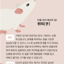 대원불교용품 - 북구 동문대로134번길 18 | 대원불교용품