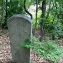 읍내리농로 이미지