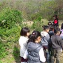 의신어린이집 이미지