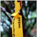 판교환경생태학습원 이미지