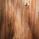 원산사우나 이미지