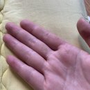 비아이지아이(주) 이미지