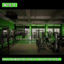 피트밀리 하양점 이미지