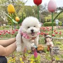 주막촌 | 대구 달성군 봄나들이 추천 베베랑 화원유원지&amp;사문진주막촌 다녀온 후기