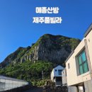 아마존게임전자 | 뷰맛집 서귀포숙소 메종산방 제주 힐링여행 후기