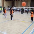 세정초등학교 이미지