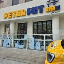 피터펫 논현점 이미지