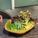 도화갈매기 이미지