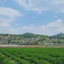 해성한식 이미지