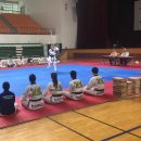 타이거 태권도장 이미지