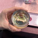 봉은사 선불당 | 봉은사 매화 차 축제, 오늘 하루 무료로 맛보는 봄날의 차