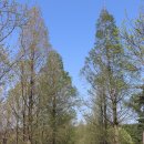 연정에너지 이미지