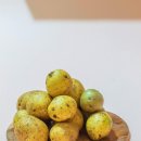 한식조리기능사(필기) 이미지