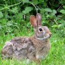 강남고속관광투어 이미지