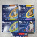 사당동물약국 이미지