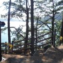 거제-거제-거제-비상-10 이미지