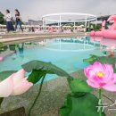 뚝섬한강공원-26 이미지