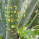 임마누엘광고 - 서천군 군청로 55 | 임마누엘광고
