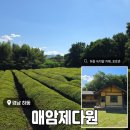 제다원초가집 | 경남 하동 녹차밭 카페 <매암제다원> 후기 (내돈내산)