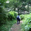 NR-22[밀재로]-상-44 | 대야산과 용추계곡 산행 후기